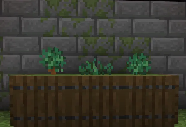 Better berry bushes